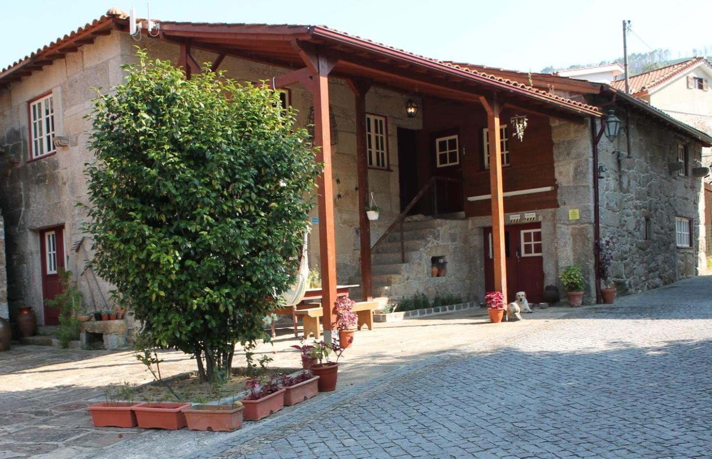 Вилла Quinta Da Mo Терраш-ди-Бору Экстерьер фото
